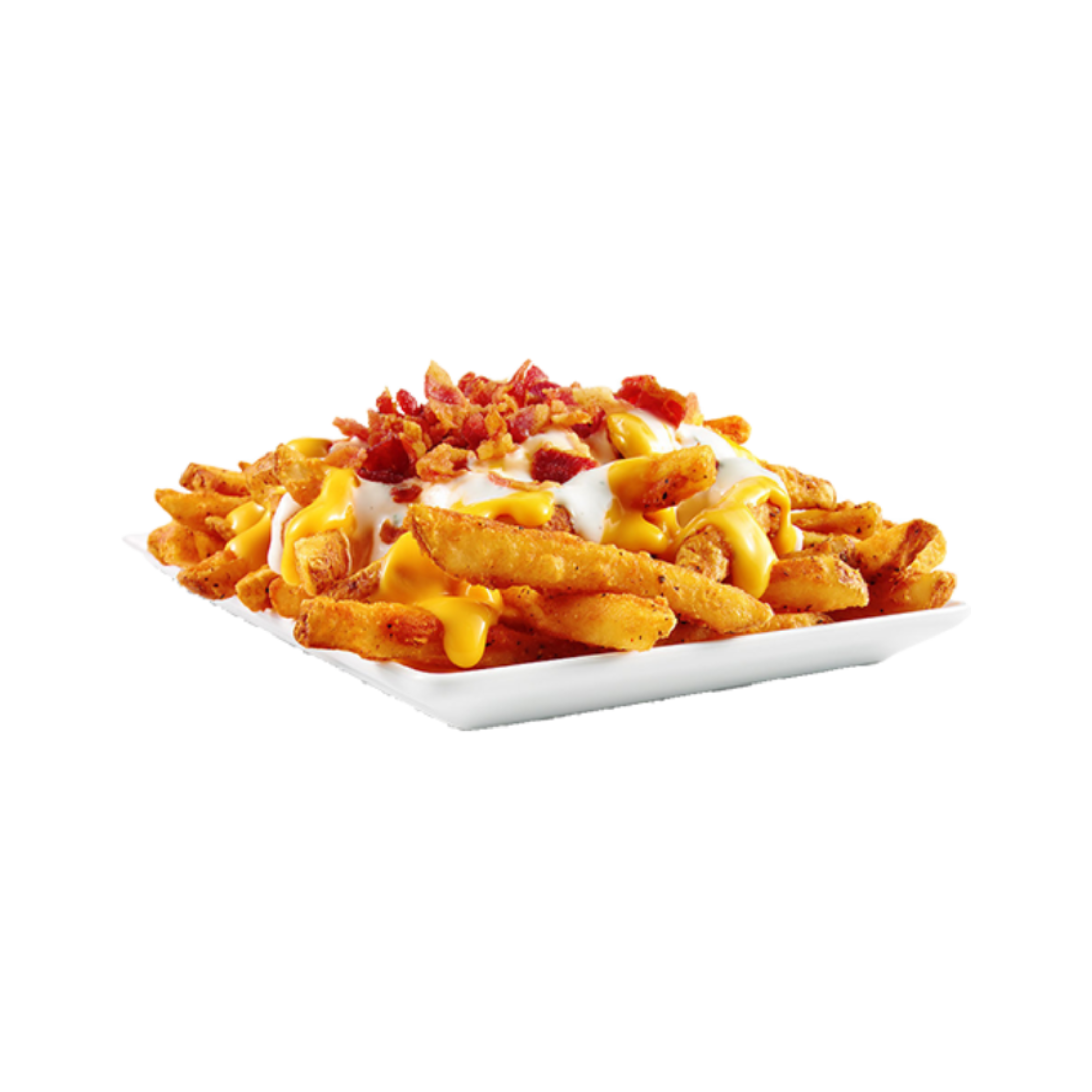 6 Loaded Fries - Image 1